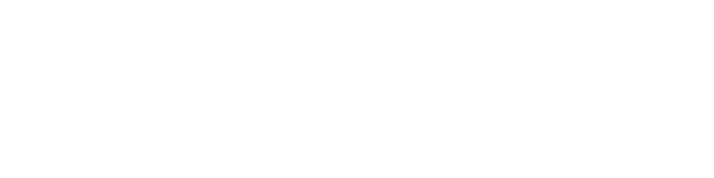 Phoenix contact